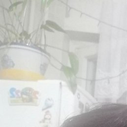 �����, ������, 58 ���