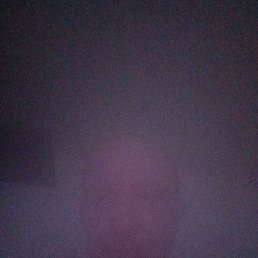 ���� �������, ����, 50 ��� - ��������� 13 ����� 2026