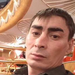 ����, ������, 37 ���