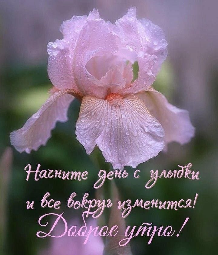   ,    . - 8  2025  23:42