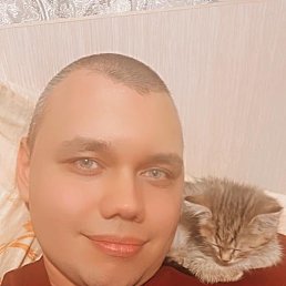 , 29, 
