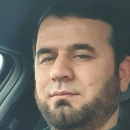 �����, �����-���������, 37 ���