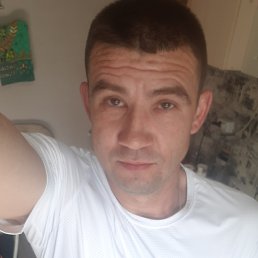 , 37 , 