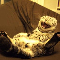 ���, ������, 22 ����