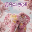   ))  !!!, , 70  -  20  2025    