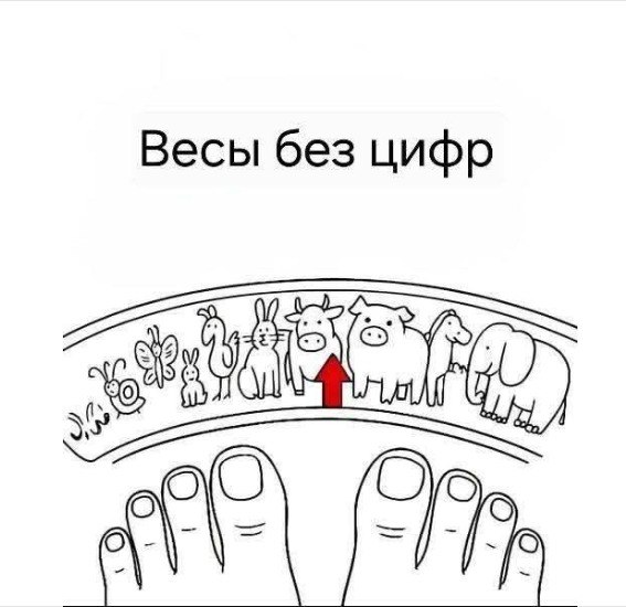 ))))))))))))))