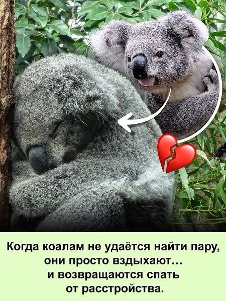   :D - 15  2025  12:27