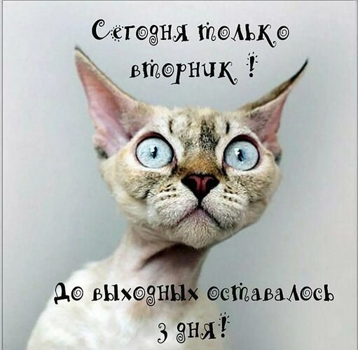 Всё будет хорошо! - 9 сентября 2025 в 14:32