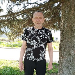 , 65, 