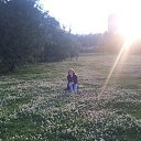 ���� �����, �����������, 54 ���� - ��������� 7 ������� 2026 � ������ ���� ����������