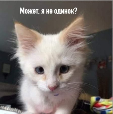       - 7  2025  16:55 - 2