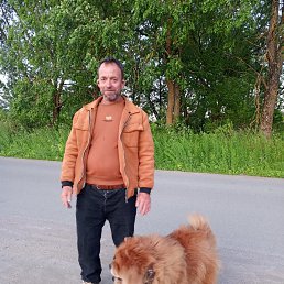 , 46 , -