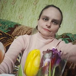 ���� ����, �����������, 40 ��� - ��������� 31 ����� 2026