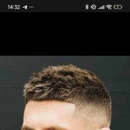 , 37, 