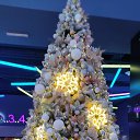���� ����, �������� - ��������� 25 ������� 2025 � ������ ���� ����������