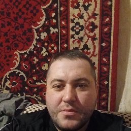 , 33, 