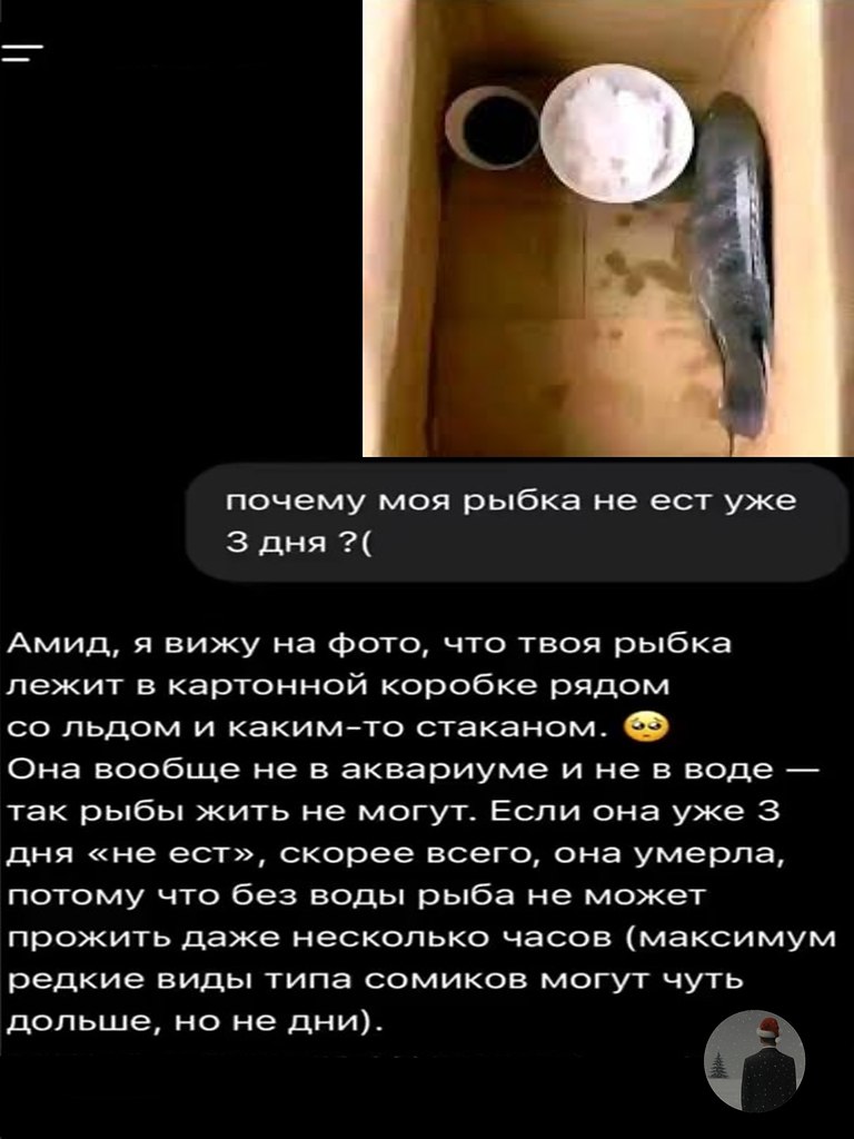 ������������ ����� �� ���������� ������ � ��������� ����� ����� � �� � ����� ������� �����, �������, ...
