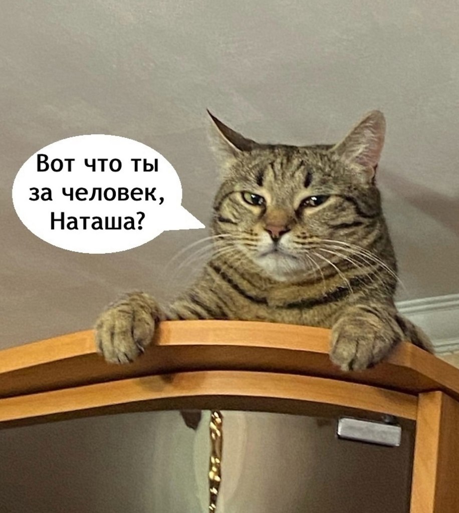, 