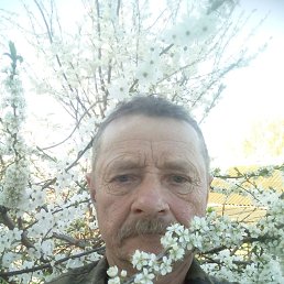 , 60, 