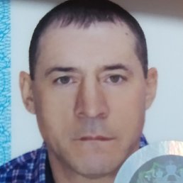 ����, ������, 43 ����