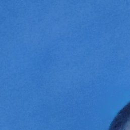 ���������, ���������, 51 ���