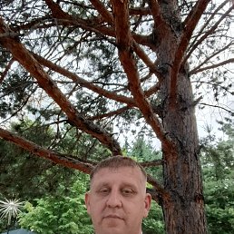 �����, 44 ����, ���������