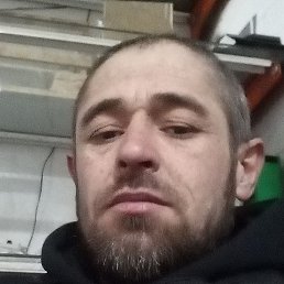 ���������, ������, 41 ���