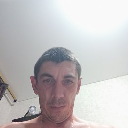 , 41, 