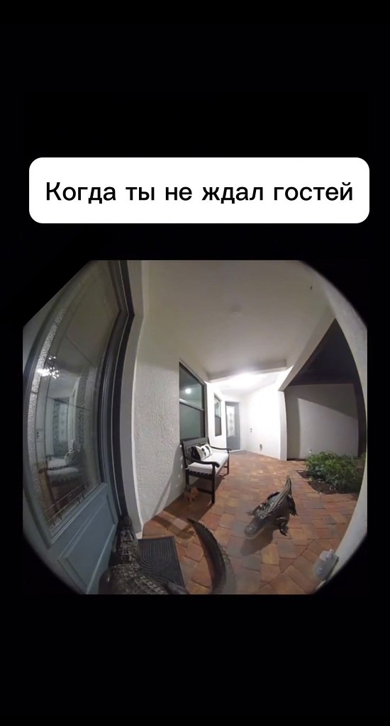     !            ...