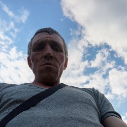 , 41 , 