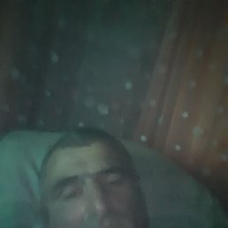, 45, 