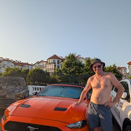 ����������, 42 ����, �������