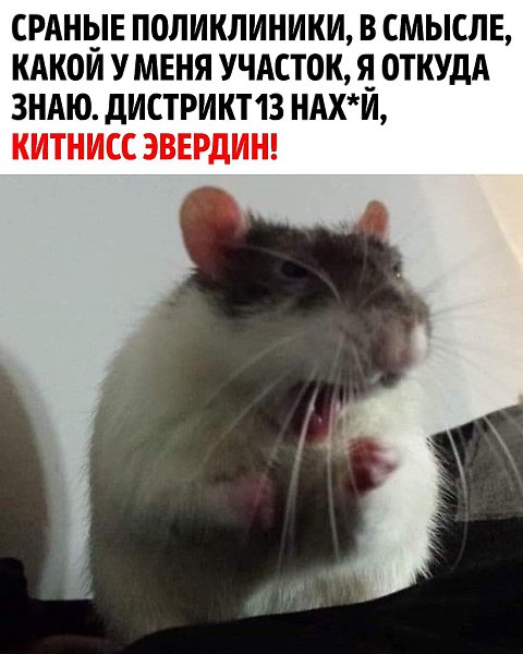   !