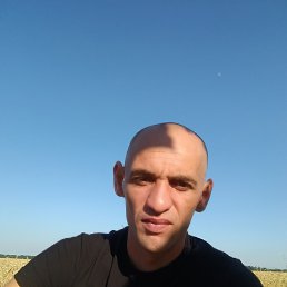 , 35, 