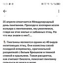 ���� ������� �������, �����, 26 ��� - ��������� 8 ����� 2026 � ������ ���� ����������
