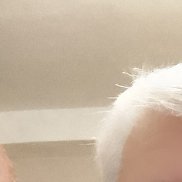 , 63 , -
