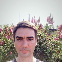 , 45, 