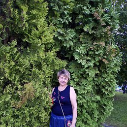 �����, ������, 58 ���