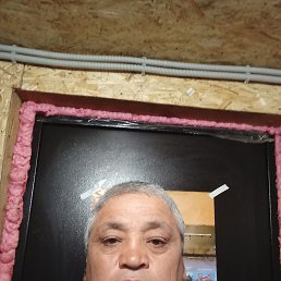 , 56, 