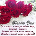 ���� ��������, ������, 84 ���� - ��������� 24 ������ 2026 � ������ ������ ��������