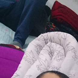 ��������, �������, 37 ���