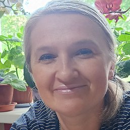 �������, ��������, 49 ���