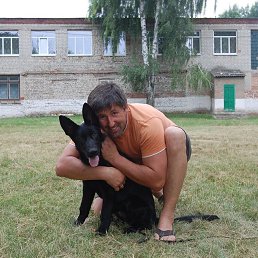 , 54, 