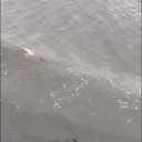  , , 35  -  16  2025    