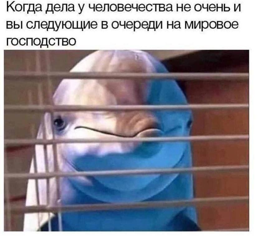 JPG - 21  2025  15:31
