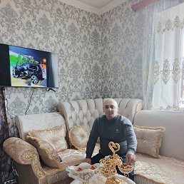 ����, 41 ���, �������