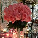 ���� ����, ������ - ��������� 15 ������� 2023 � ������ �������