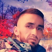 , 33 , 