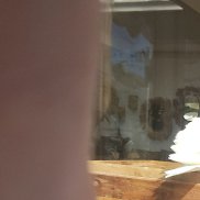 Denis Paris, 53 , 