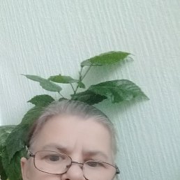 ���� ����� ������, ������ ��������, 58 ��� - ��������� 19 ������� 2026